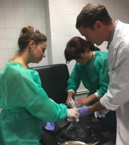 La Dra. Laura Montes, responsable de la Unidad de Ortopedia y Traumatología Infantil del Centro Médico Sendagrup de Donostia - San Sebastián, es especialista en el tratamiento del pie zambo (equino-varo) mediante el método Ponseti